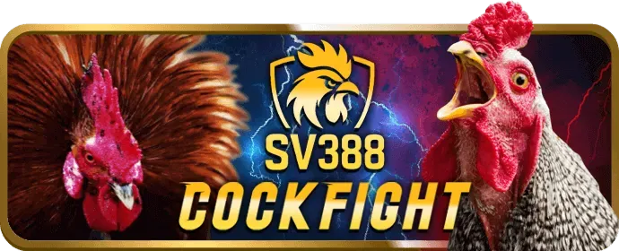 Đội ngũ hỗ trợ khách hàng 24/7 của Win2026